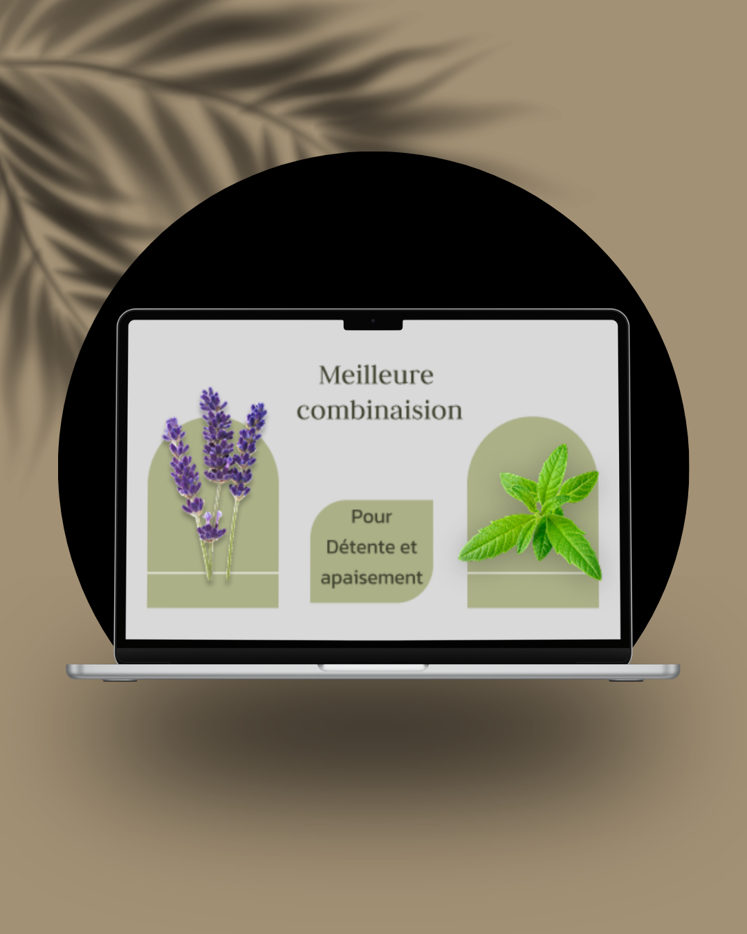 MedPlant general preview