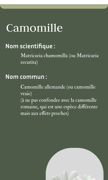 MedPlante Concept