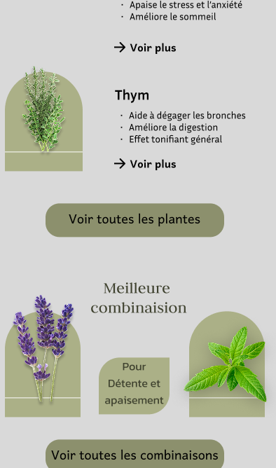 MedPlante Goal