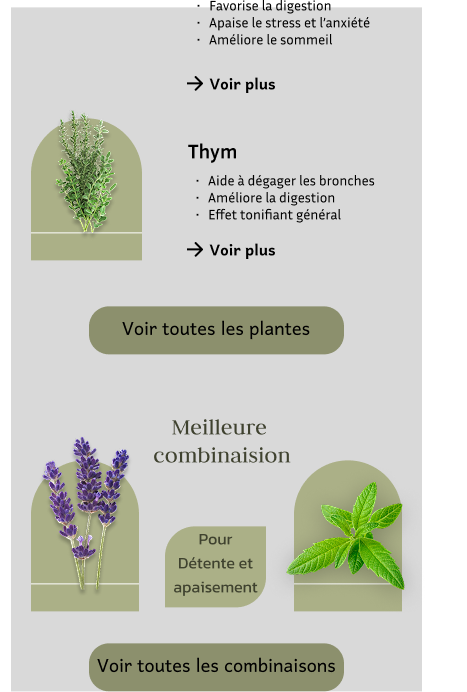 MedPlante objectif
