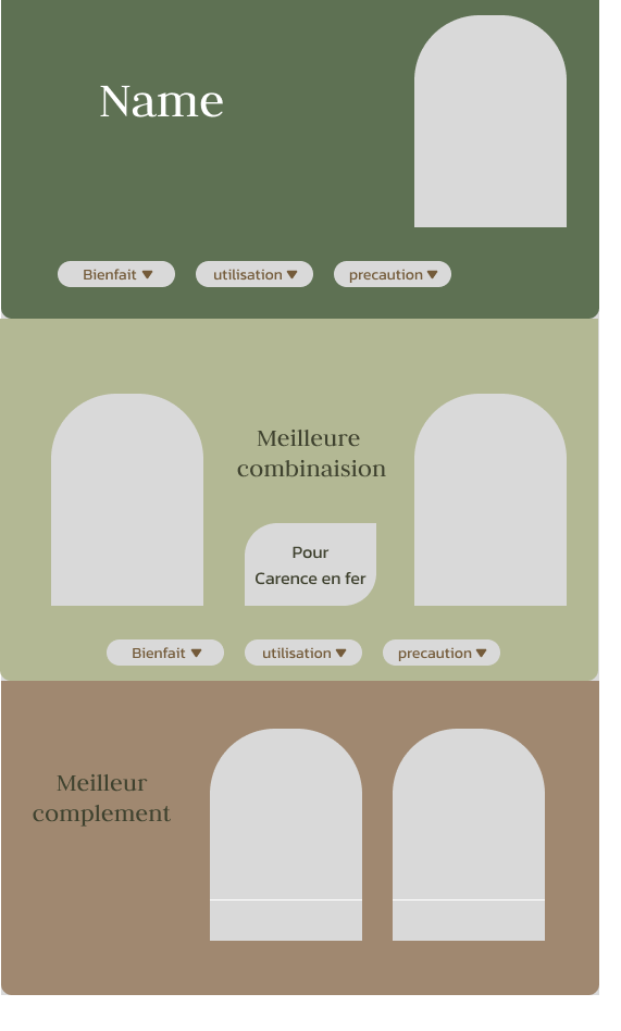 MedPlante realisation