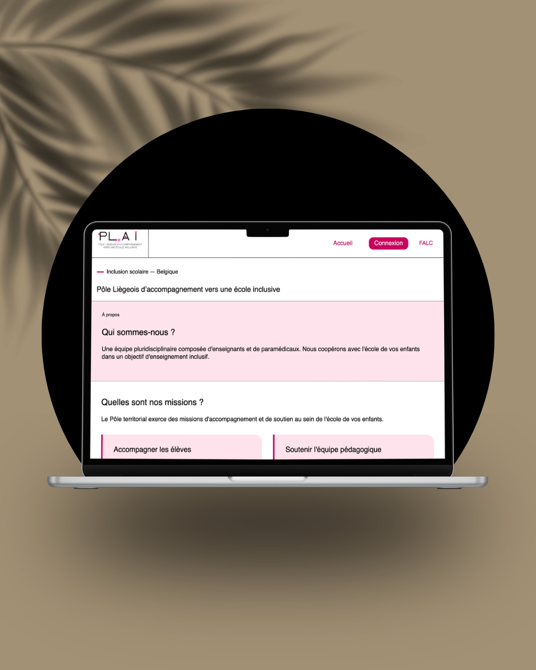 Client project general overview